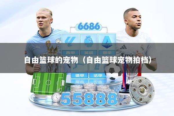 自由篮球的宠物（自由篮球宠物拍档）